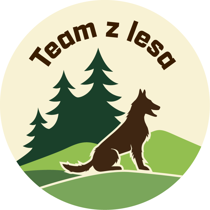 Team z lesa   |   Julie Wohanková