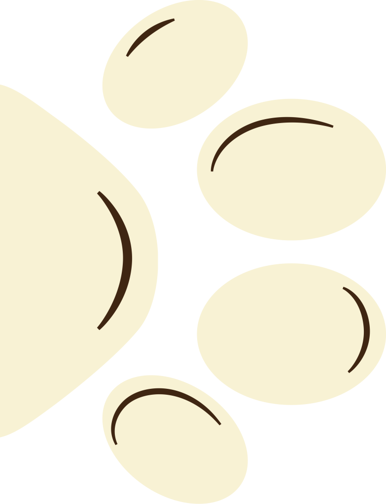 Team z lesa - žlutá tlapka 2